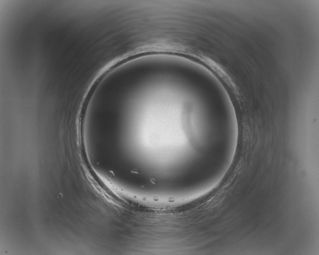 X0000083661238200702121207