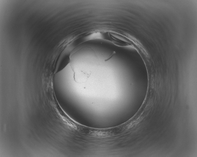 X0000083661241200702121207