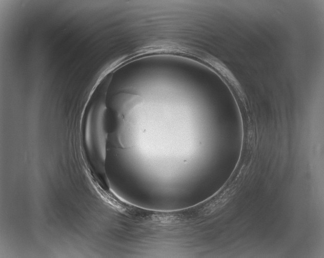 X0000083661242200702121207