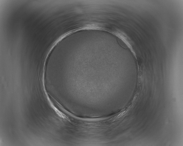 X0000083661245200702121207