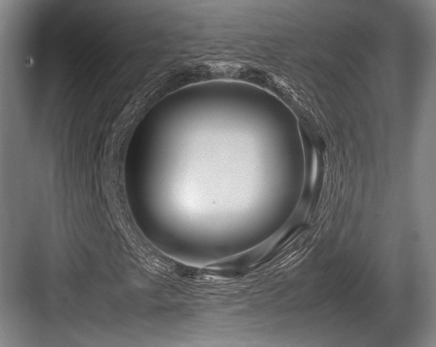 X0000083661249200702121207