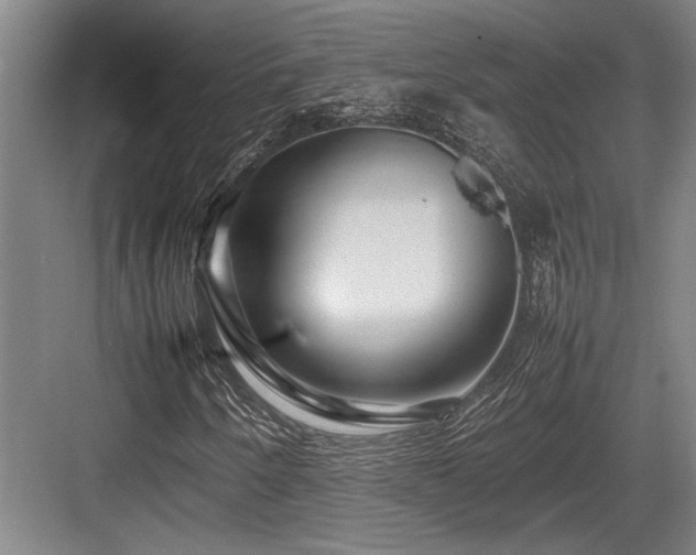 X0000083661250200702121207
