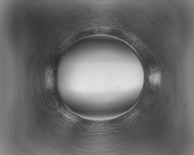 X0000083661252200702121207