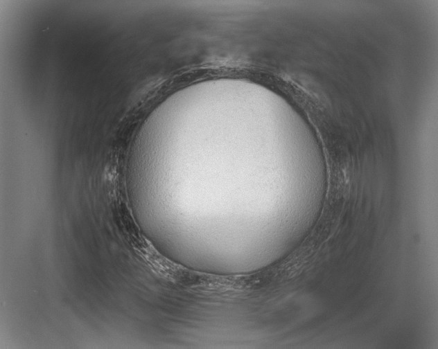X0000083661254200702121207