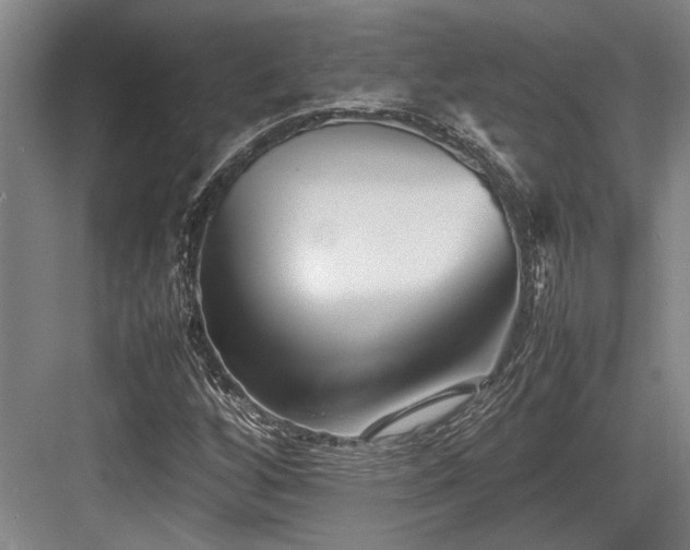 X0000083661256200702121207