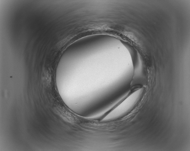 X0000083661257200702121207