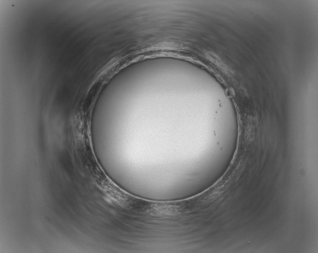 X0000083661258200702121207