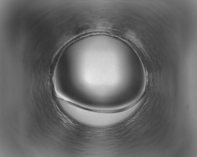 X0000083661260200702121207