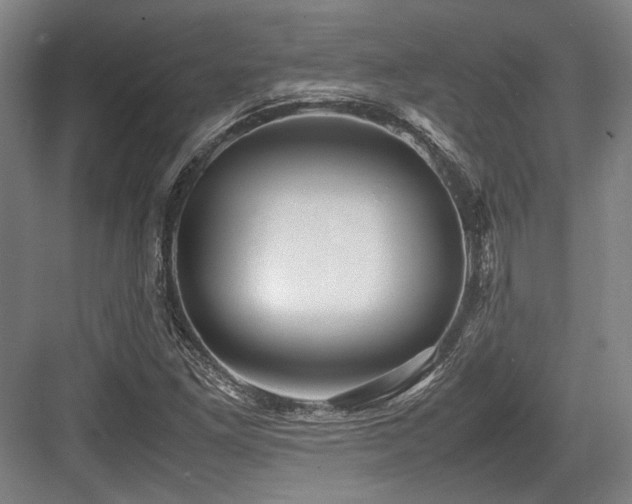 X0000083661261200702121207
