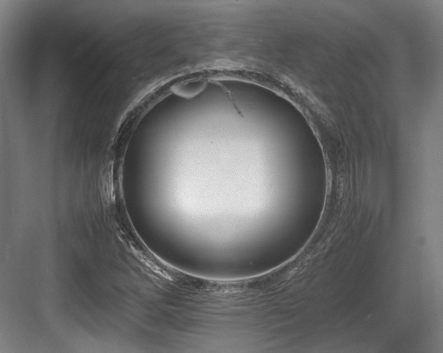 X0000083661262200702121207