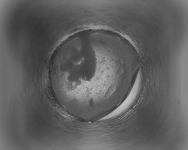X0000083661263200702121206
