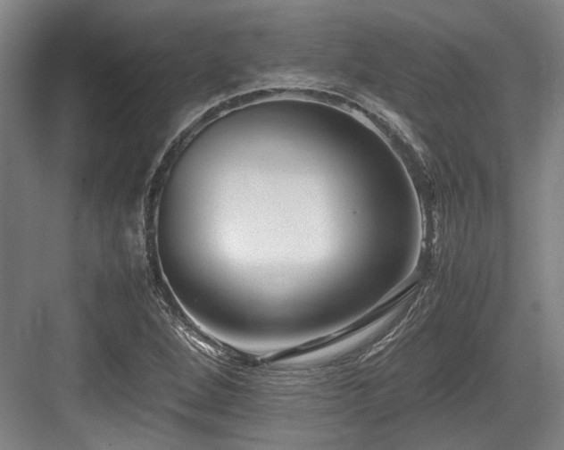 X0000083661264200702121206