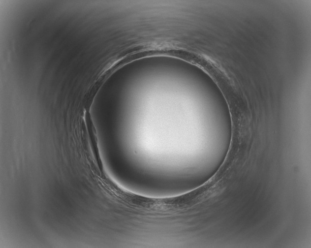 X0000083661265200702121206