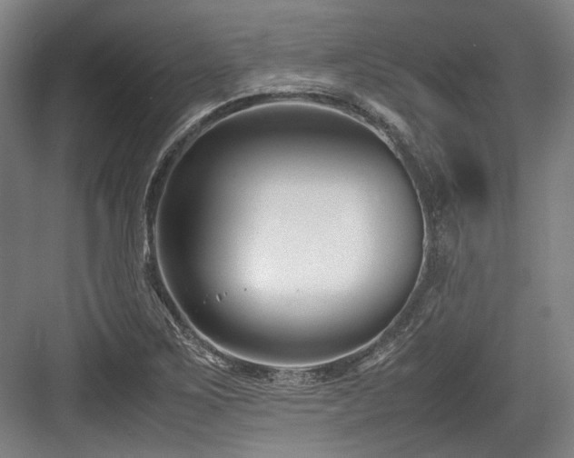 X0000083661267200702121206