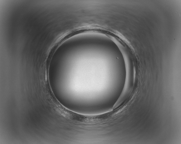 X0000083661269200702121206