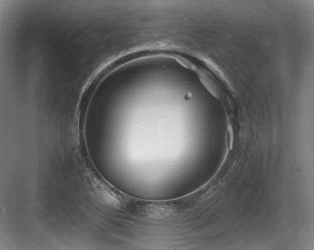 X0000083661270200702121206