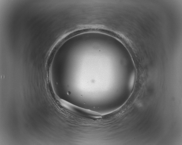 X0000083661271200702121206