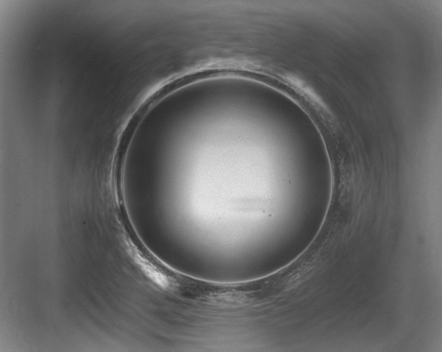 X0000083661272200702121206