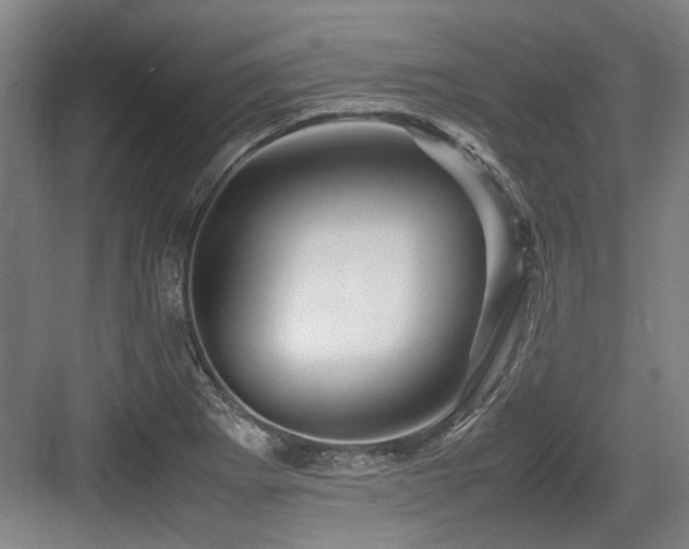 X0000083661273200702121206