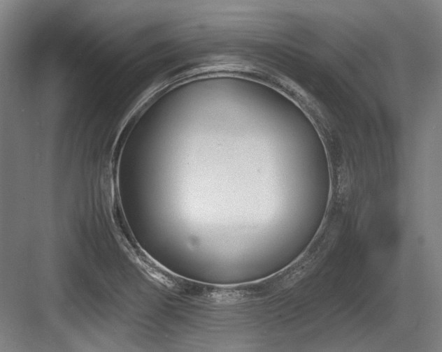X0000083661274200702121206