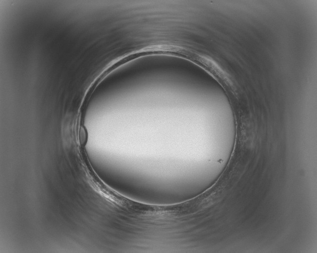 X0000083661276200702121206