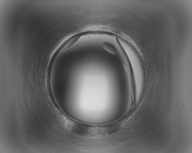 X0000083661277200702121206
