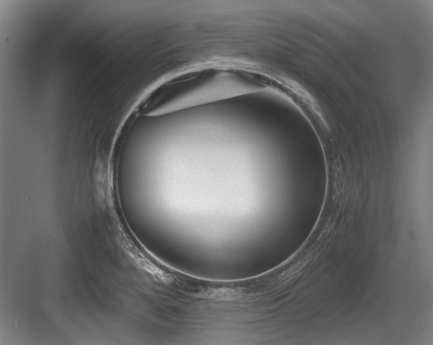 X0000083661280200702121206