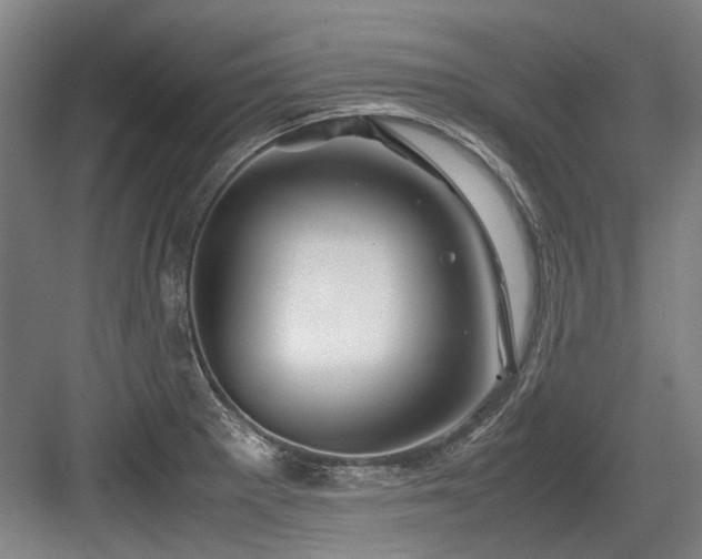 X0000083661281200702121206