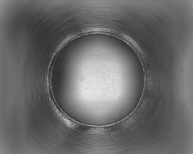 X0000083661282200702121206