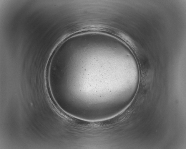 X0000083661283200702121206