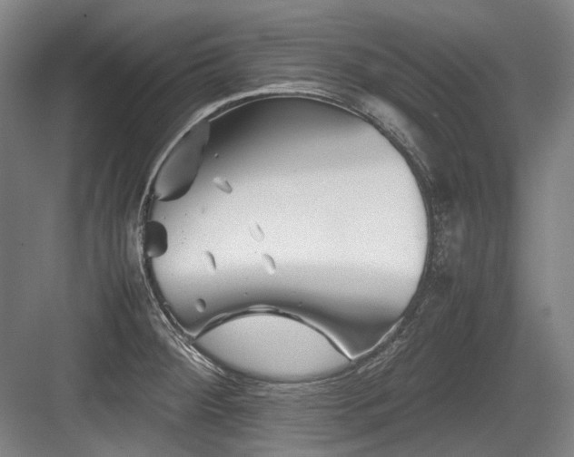 X0000083661284200702121206
