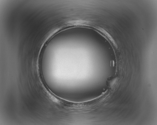 X0000083661285200702121206
