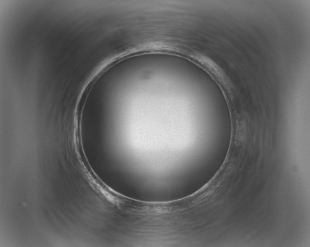 X0000083661286200702121206