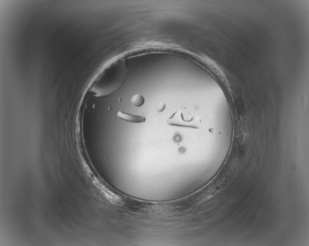 X0000083661287200702121206