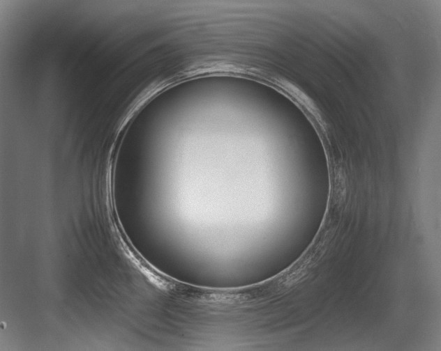 X0000083661290200702121206