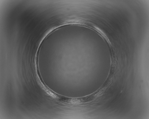 X0000083661291200702121206