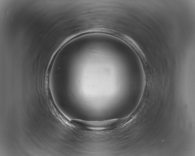 X0000083661292200702121206