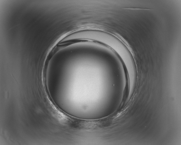X0000083661293200702121206