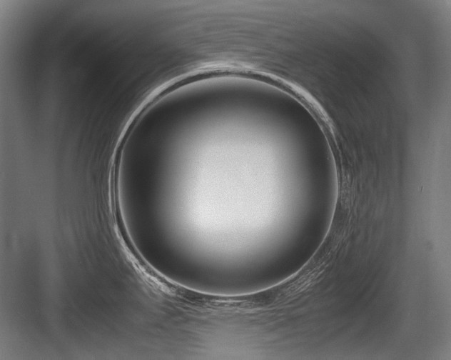 X0000083661295200702121206