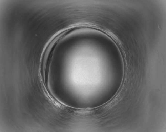X0000083661296200702121206