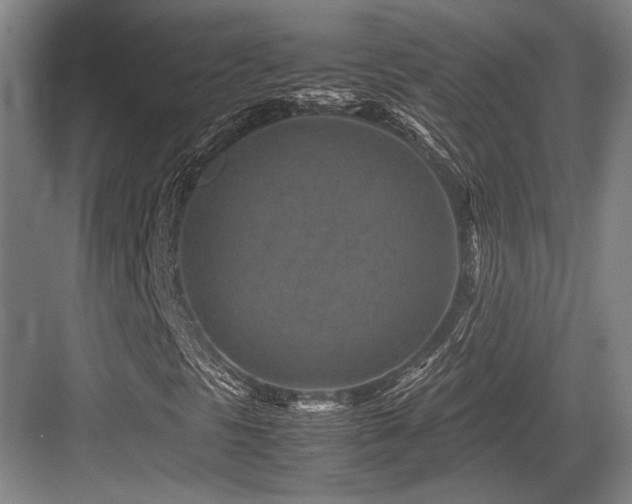 X0000083661297200702121205