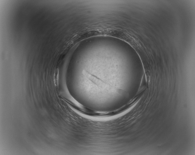 X0000083661298200702121205