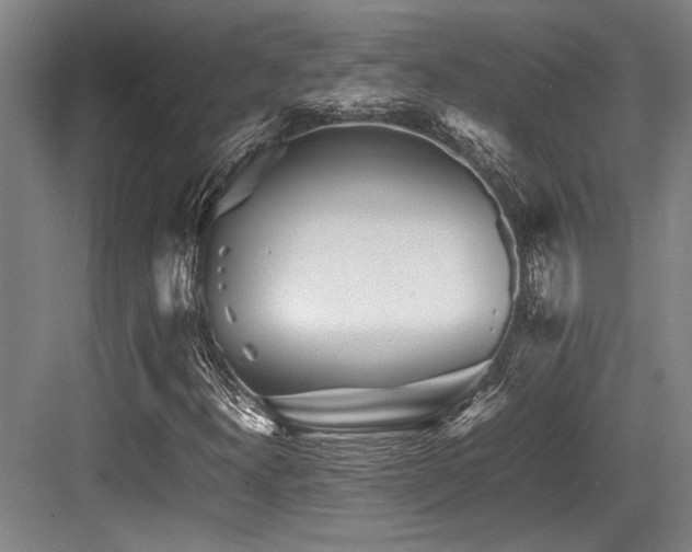 X0000083661300200702121205