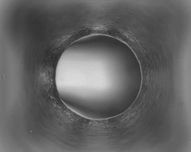 X0000083661301200702121205