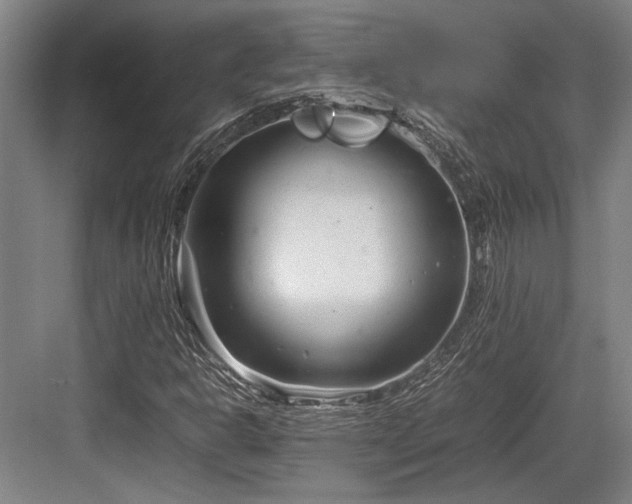 X0000083661302200702121205