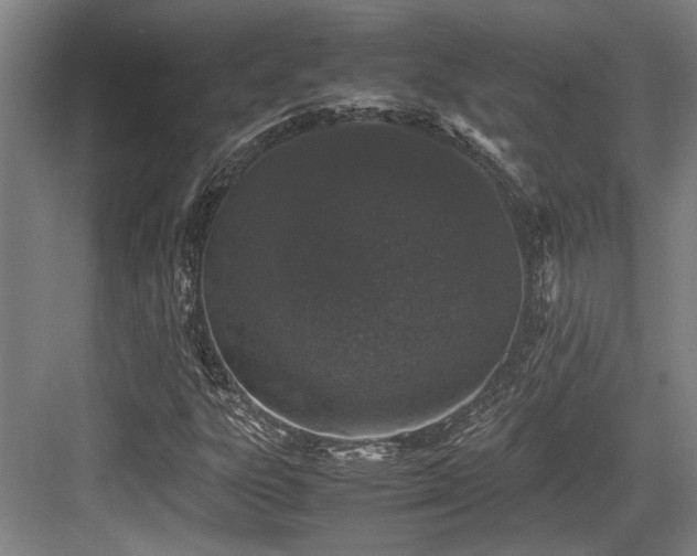 X0000083661303200702121205