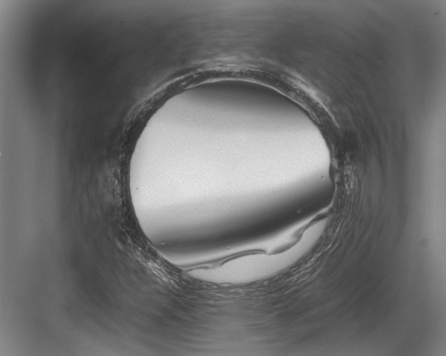 X0000083661304200702121205