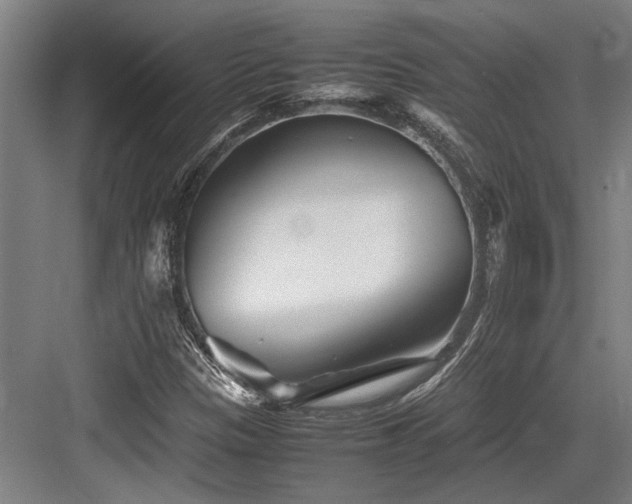 X0000083661305200702121205