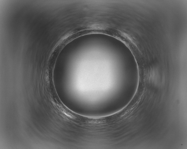 X0000083661307200702121205