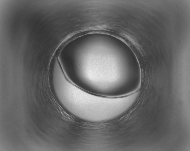 X0000083661308200702121205